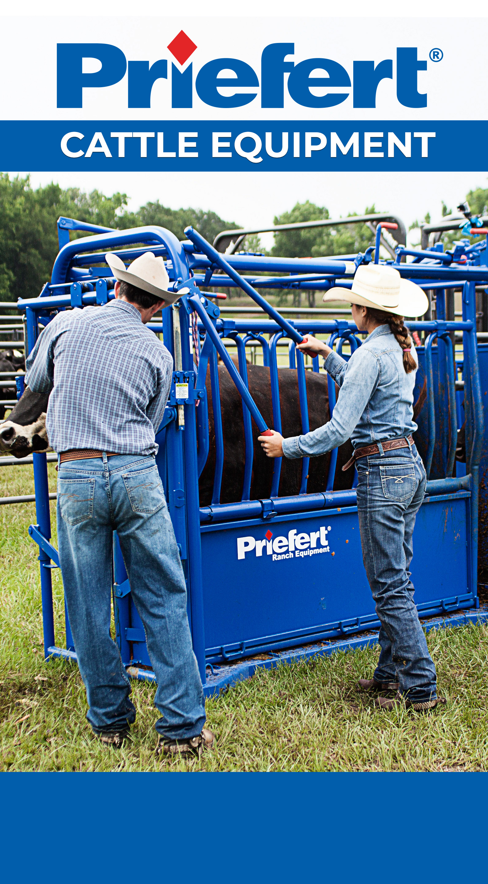 Cattle Lifestyle Quarter Pg.jpg